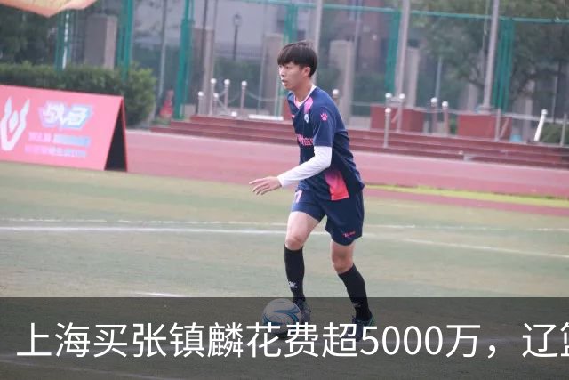 上海买张镇麟花费超5000万，辽篮赚大了王朝却为何崩塌？