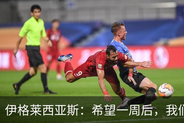 伊格莱西亚斯：希望一周后，我们能和西班牙球迷一起庆祝夺冠