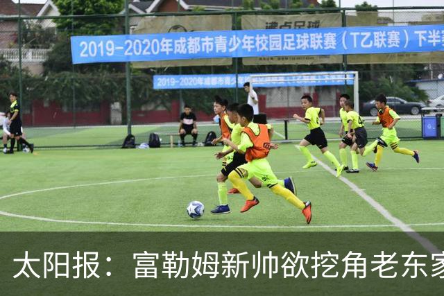 太阳报：富勒姆新帅欲挖角老东家 强攻皇马锋线双子星