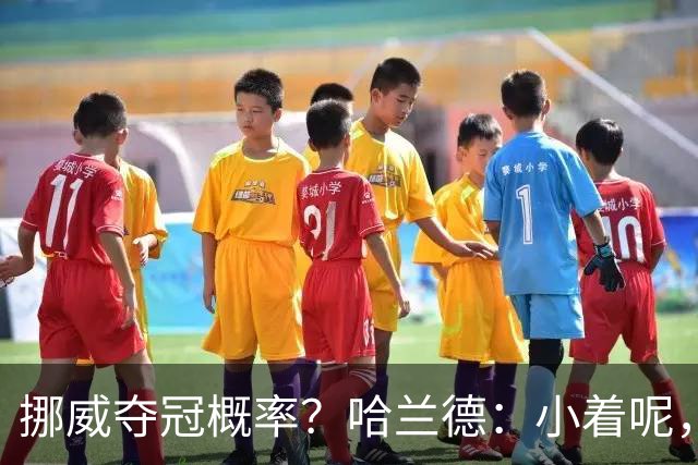 挪威夺冠概率？哈兰德：小着呢，英格兰是热门，你应该给他们压力
